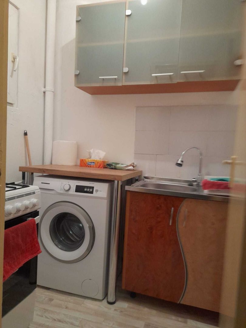 Garsoniera Crinul de Padure Parc Drumul Taberei - Poză 5