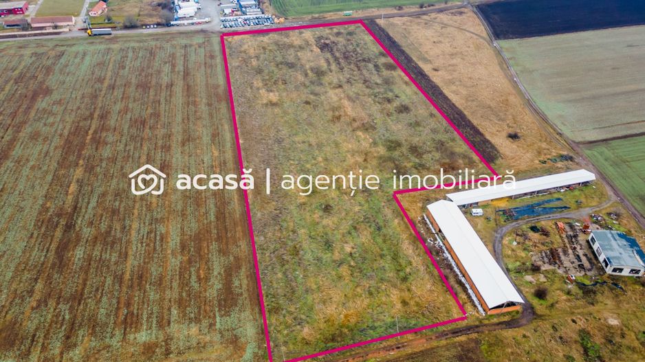 Teren 3.65h zonă industrială, Sânicolaul Mic. - Poză 5