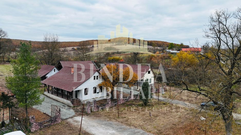 Oportunitate investitie: două reședințe de vacanță/ cabane 3940mp teren - Poză 9