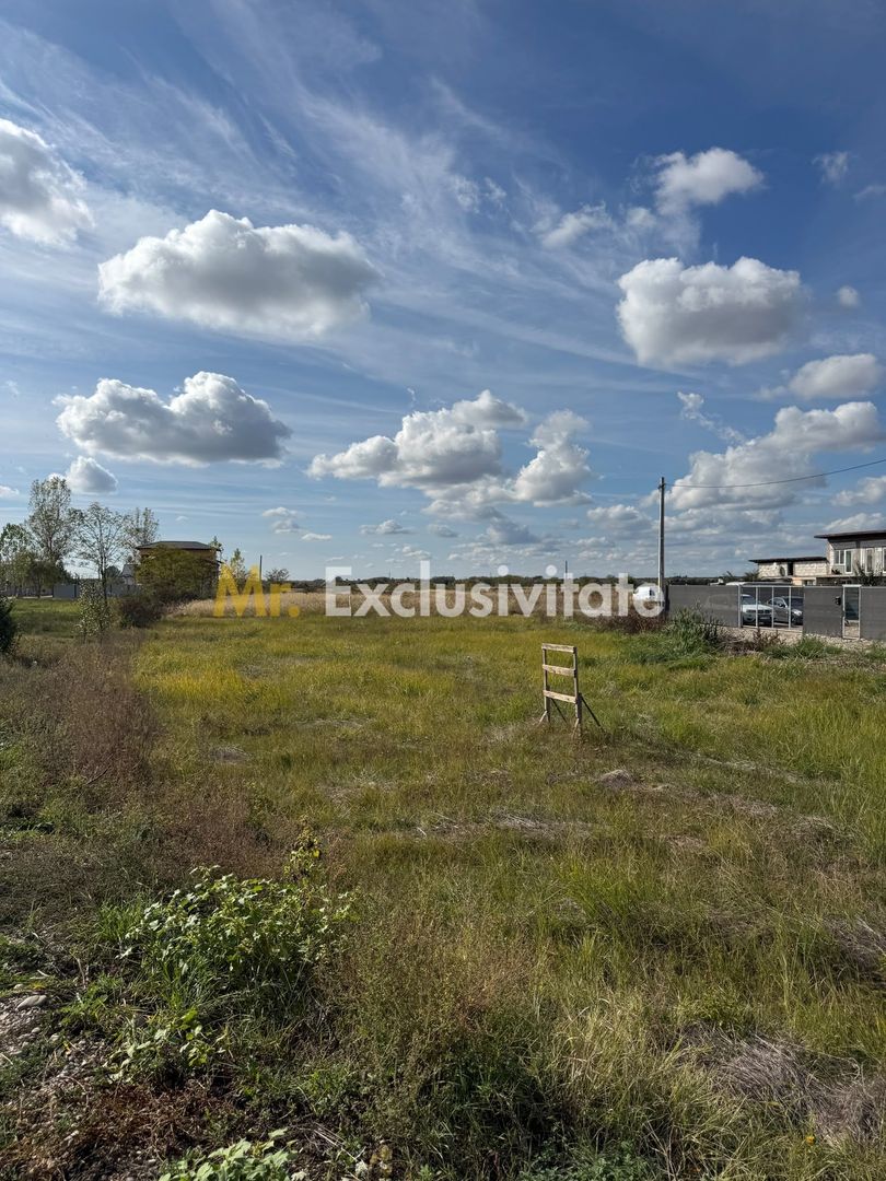 TEREN INTRAVILAN 3 LOTURI | 1.334 MP | BRADU | POTENȚIAL INVESTIȚIONAL - Poză 5