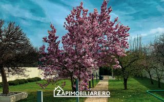 Unirii - Casa Zona Romcab -  400mp - 1259 mp teren - Garaj dublu - piscina - Poză 5