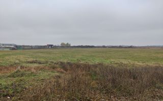 Teren 4588 mp, Remetea Mare Comision 0% - Poză 3