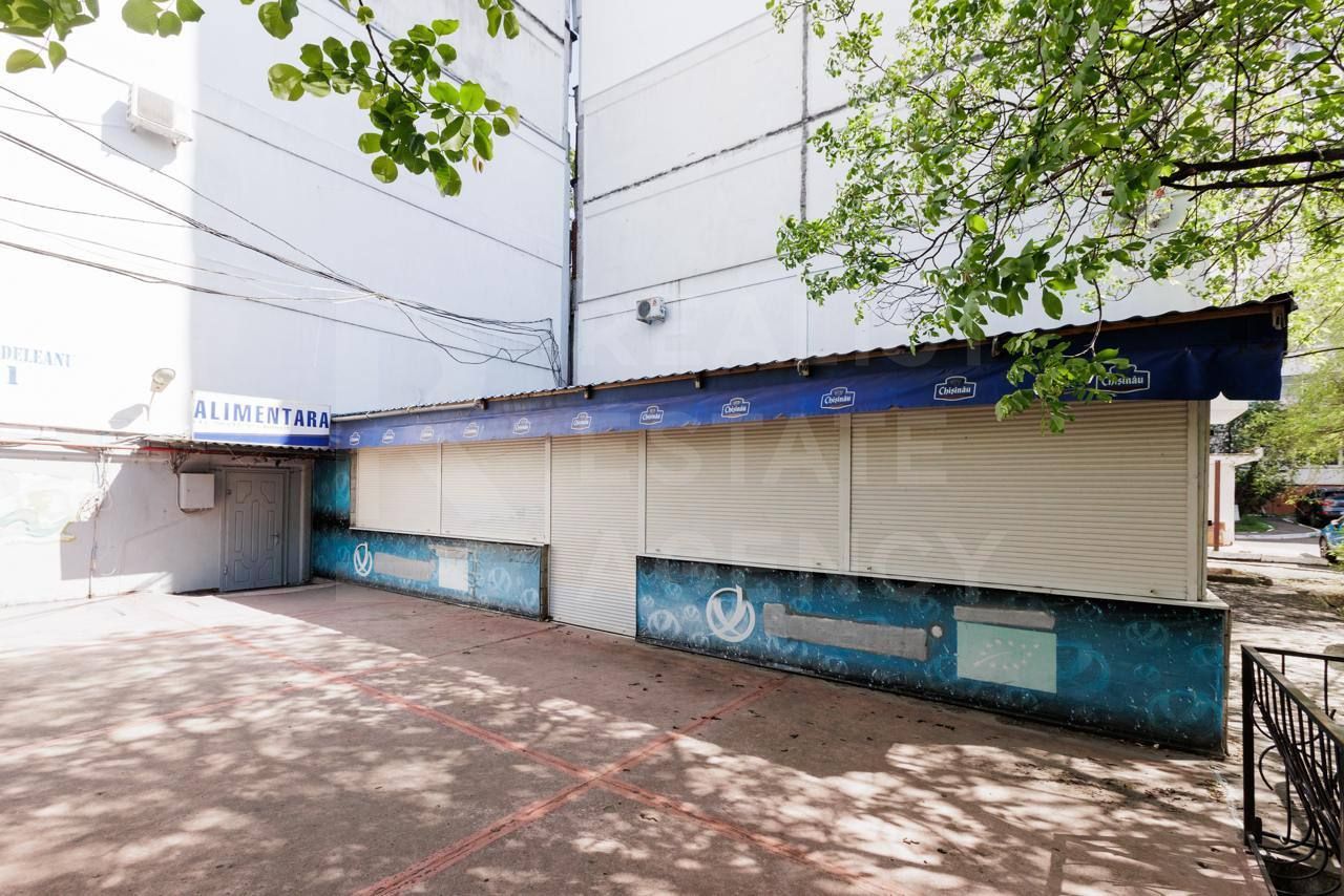 Vânzare, spațiu comercial, 256 mp + 2.8 ari, Liviu Deleanu, Buiucani - Poză 15