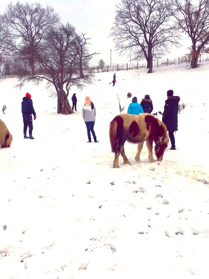 AFACERE DE VANZARE| Pensiunea SILVANKA din Valcele 3* | Langa BRASOV - Poză 10