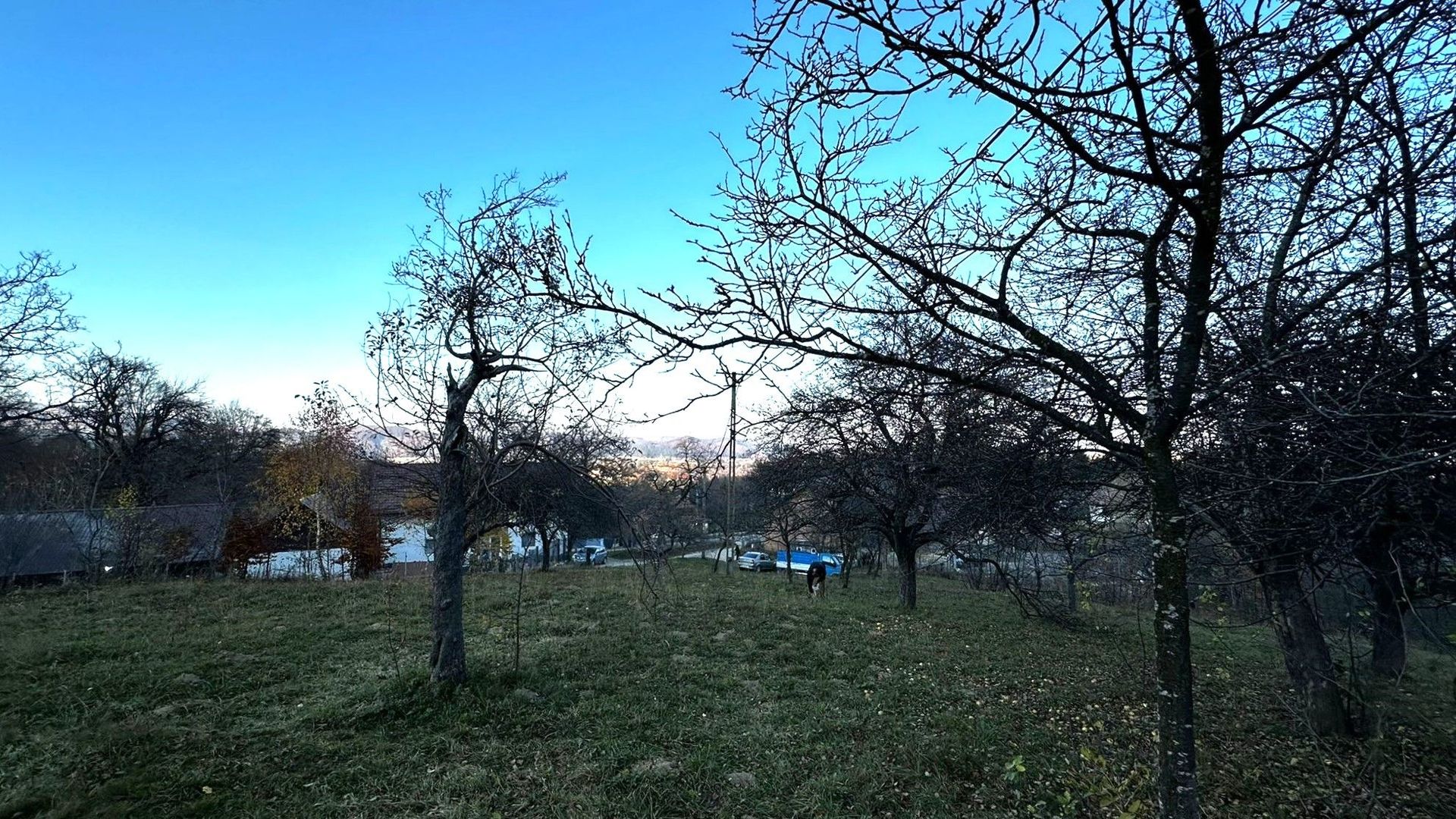 Teren Intravilan cu 2 Deschideri 4000mp Predelut-Bran | GOPO - Poză 12