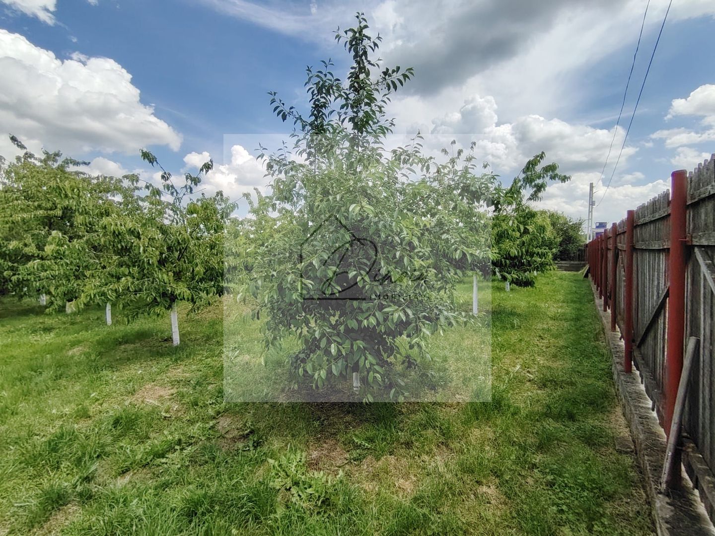 Casa Ciocanesti Cretu - 2 camere cu teren 2539 mp  - Jud. Dambovita - Poză 48