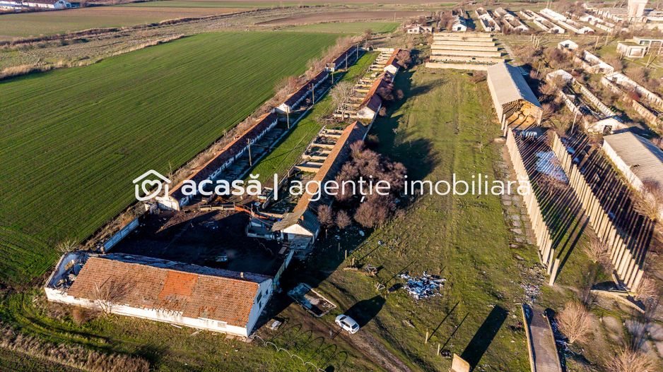 Ferma 1.15 HA lângă DN7 & Autostrada E68 – Nădlac | clădiri+utilități - Poză 5