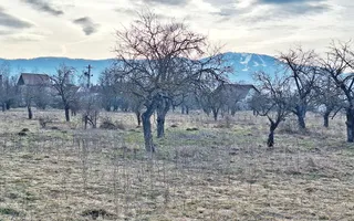 Teren intravilan pentru Investitie!!!,933mp in Ghimbav, 50 euro/mp neg. - Poză 14