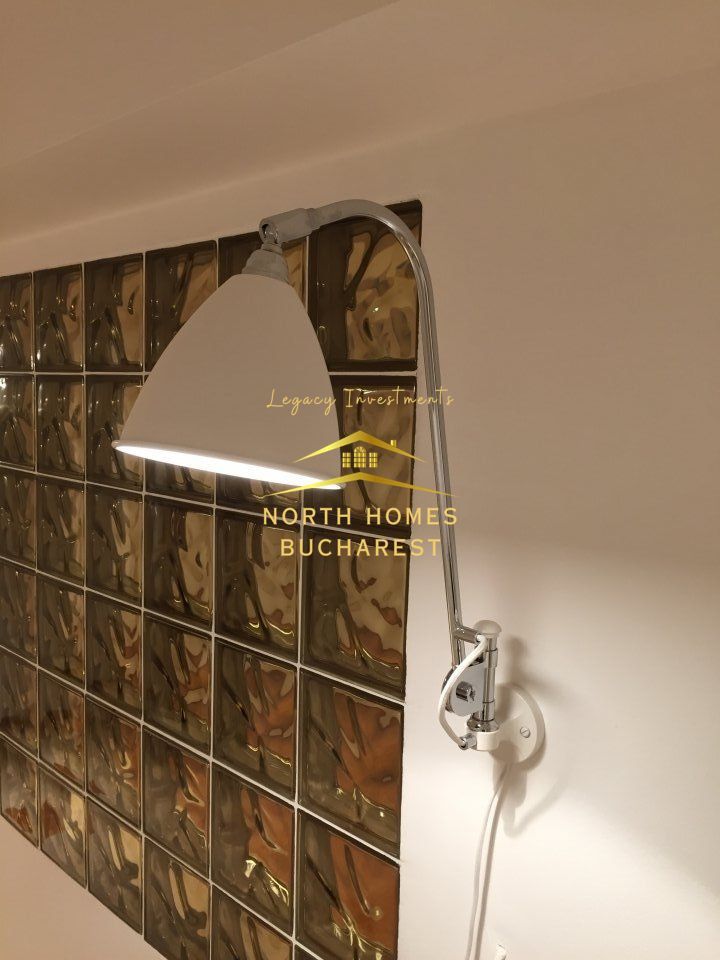 Apartament tip duplex in zona Capitale,  221mp: parter + demisol - Poză 12