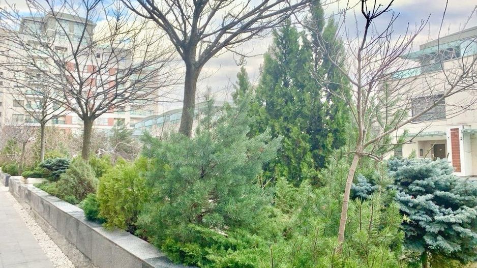 3 camere | parcare | boxa | vedere lac Tei-Emerald - Poză 10