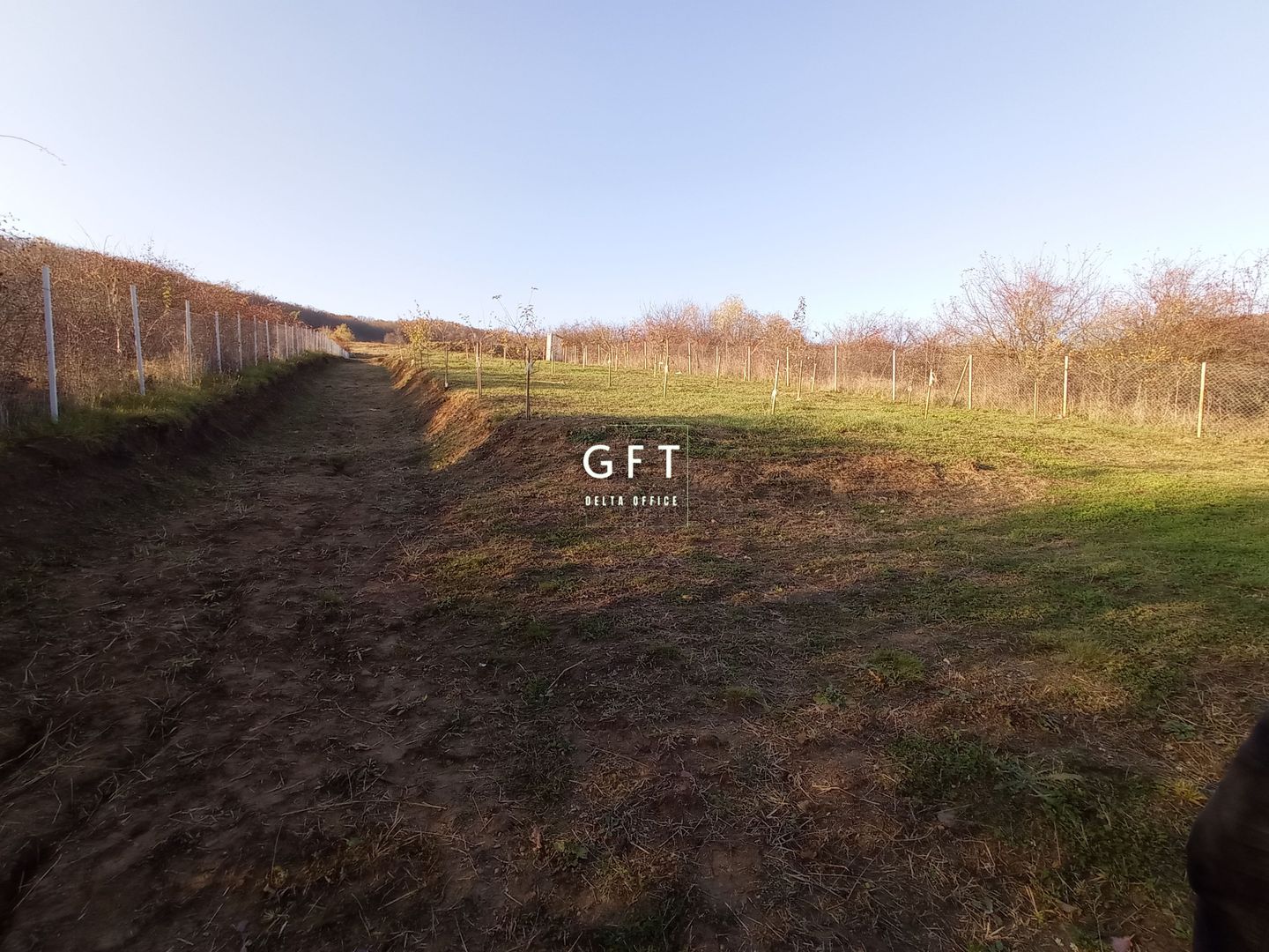 Teren Viisoara 27 ari - Poză 6