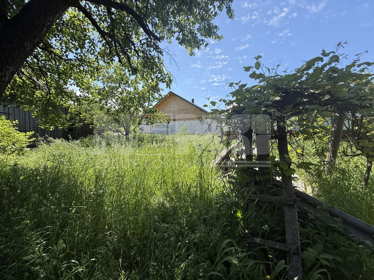 Teren intravilan de vânzare | 7.610 mp | Ilișești, sat Brașca - Poză 11