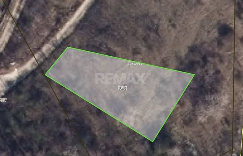 Lot pomicol Dumbrava, Mun. Chisinau - Poză 1