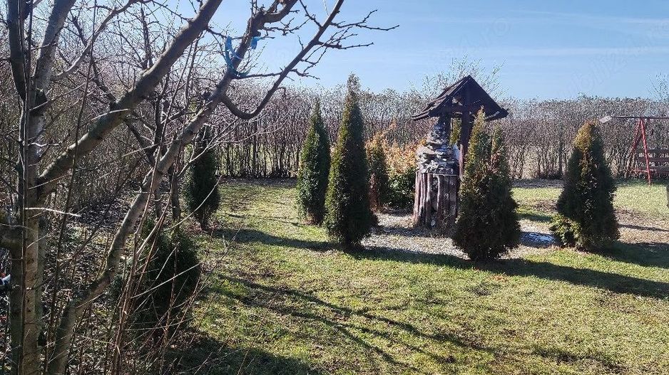 BRASADAS vinde casa cu teren 10 ari in zona Odoreului. - Poză 5