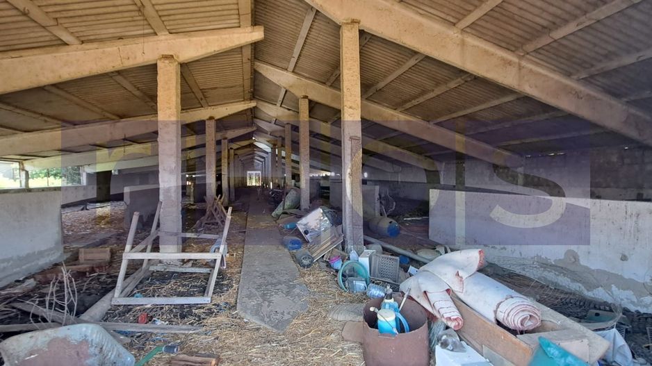 VANZARE TEREN 45.000 MP | IDEAL FERMA, HALA, PANOURI SOLARE | SACENI, TELEORMAN - Poză 3