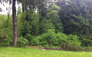 Teren intravilan Cotul Donului,pretabil Hotel/pensiune. - Poză 8