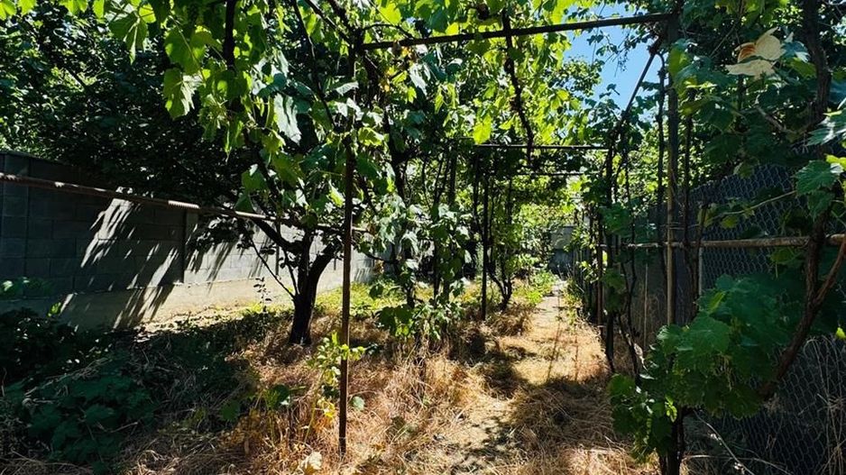 Casa singur in curte Iosia - Poză 3