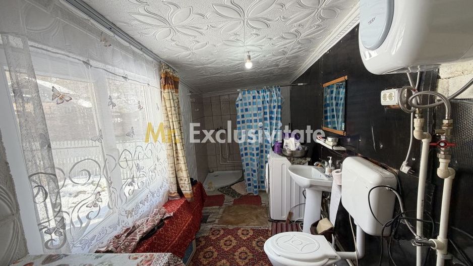 Casa Priboieni - sat Pitoi Arges - Poză 10