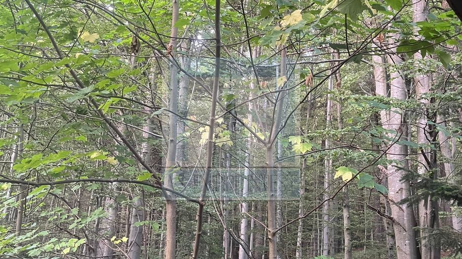 Casa/Vila de vanzare in Predeal - Poză 30