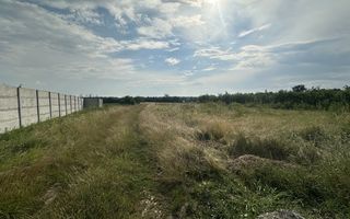 Teren intravilan 530 Mp | Albota - Poză 2