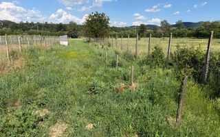 Teren intravilan, 2300mp - Vinerea ( Cugir ) - Poză 1