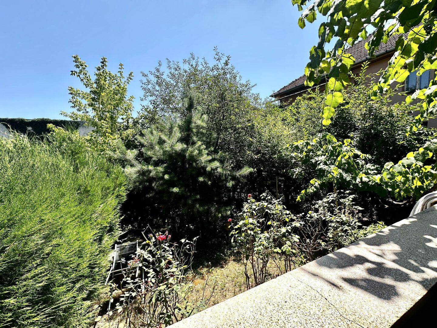 Duplex cu potențial real în Elisabetin – investiția care contează - Poză 9