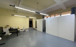 Spatiu bussines de 490mp intr-o vila pe 4 niveluri - Timisoara - Poză 20