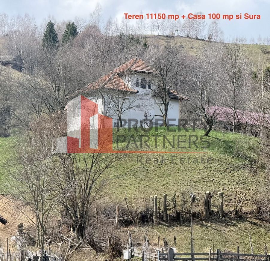 TEREN 11.500 MP + CASA AUTHENTICA ÎN BRAN – ȘIMON | VEDERE BUCEGI - Poză 10