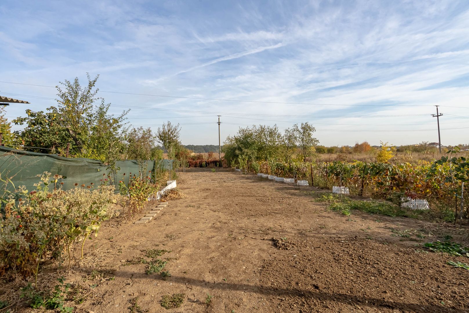 Casă modernă în Tâncăbești – 5 camere și natură la doi pasi - Poză 17
