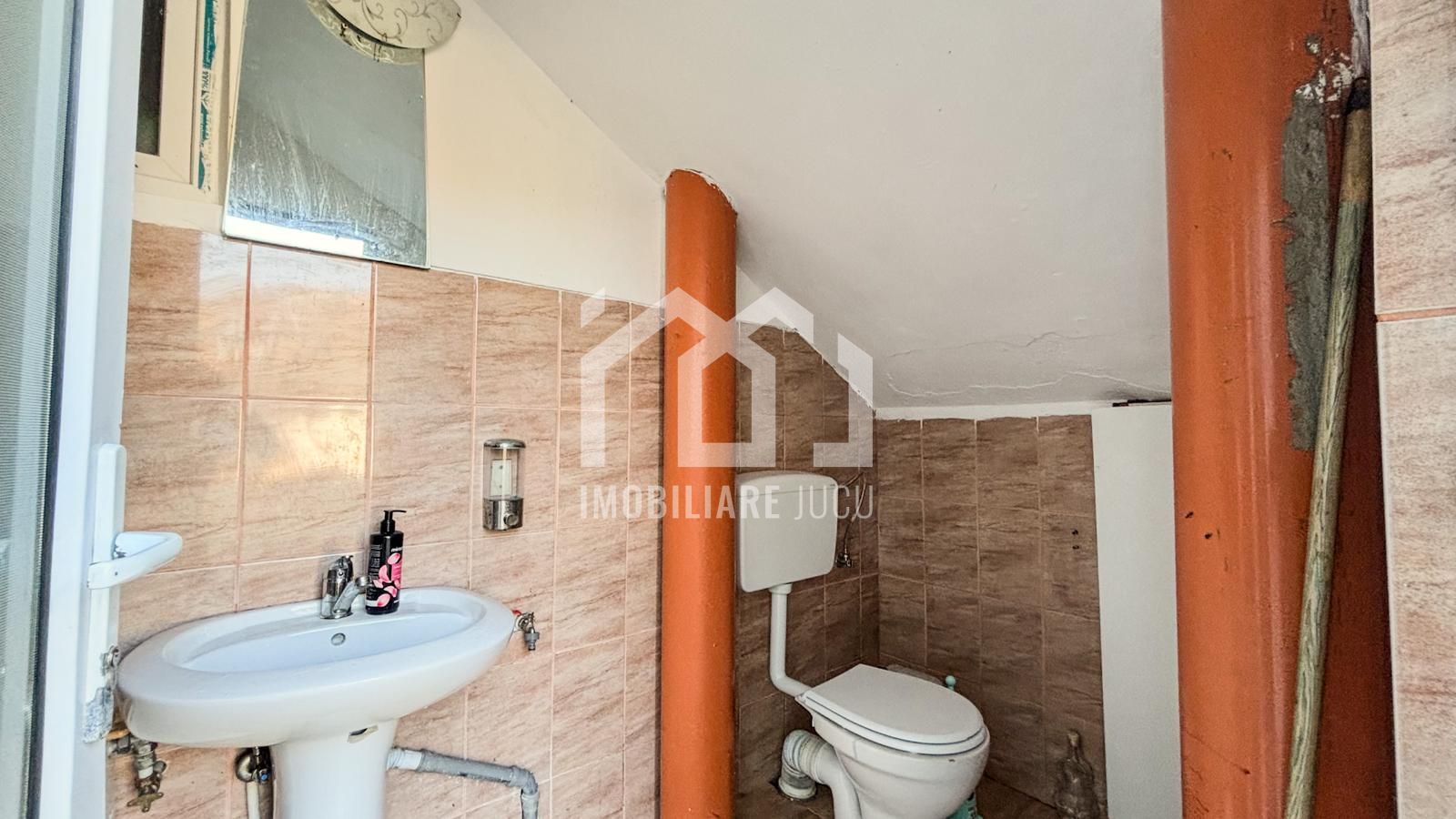 Casa individuala cu 12 camere, Potential Turistic, Visea, Comuna Jucu - Poză 26