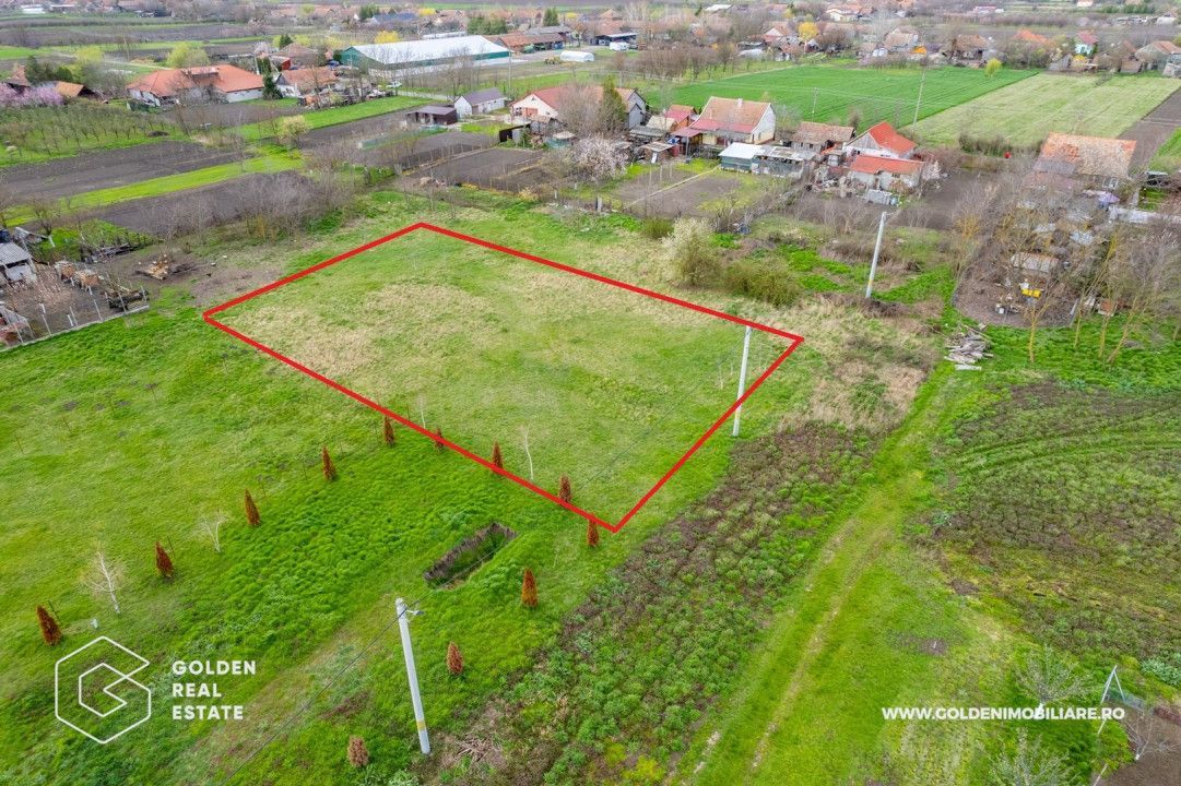 Teren intravilan, localitatea Dorobanţi, 2000 mp - Poză 3