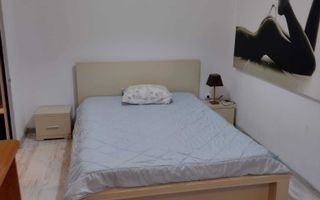 Apartament 2 camere de inchiriat, Podu de Fier, Iasi - Poză 3