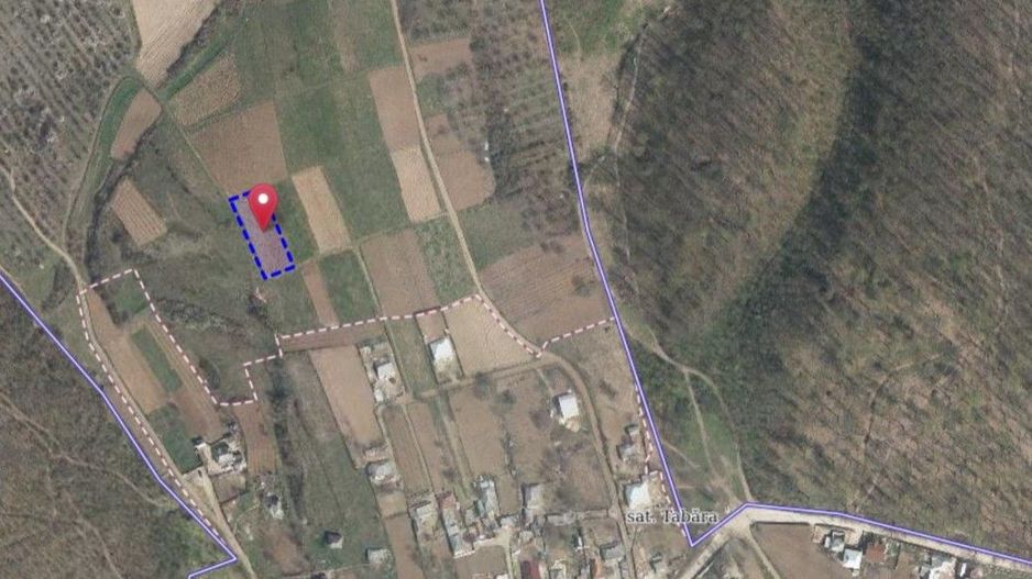 Tabăra/Orhei | 11,62 ari | Teren în inima Codrilor – Ideal pentru evadare în natură sau investiție - Poză 7