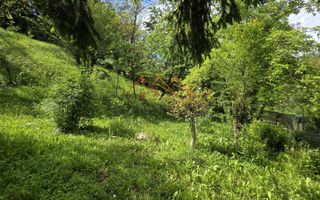 Casa rustica, teren 2000 mp, peisaj de vis, Provita de Jos, Prahova - Poză 14