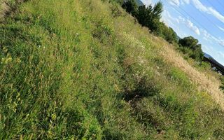 Teren intravilan de vânzare – Unirea - Poză 4