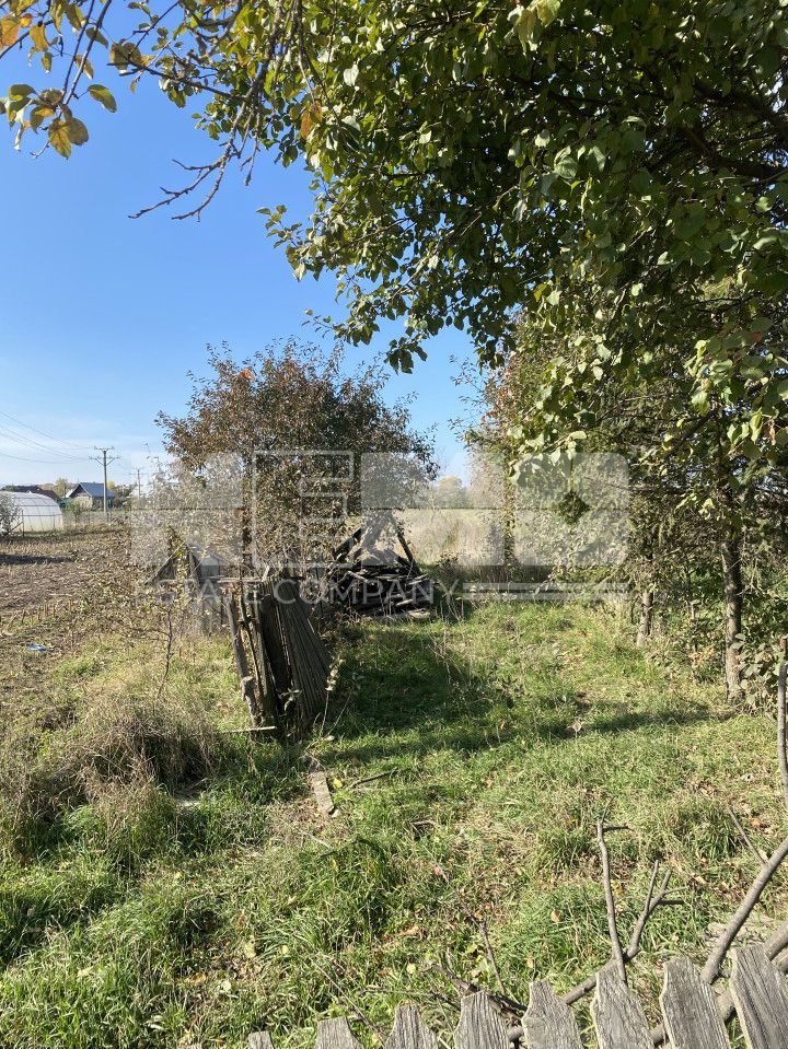 Teren 42 de ari | Andronic Motrescu - Poză 2