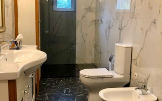 Vila superba I Iancu Nicolae I Vanzare - Poză 9