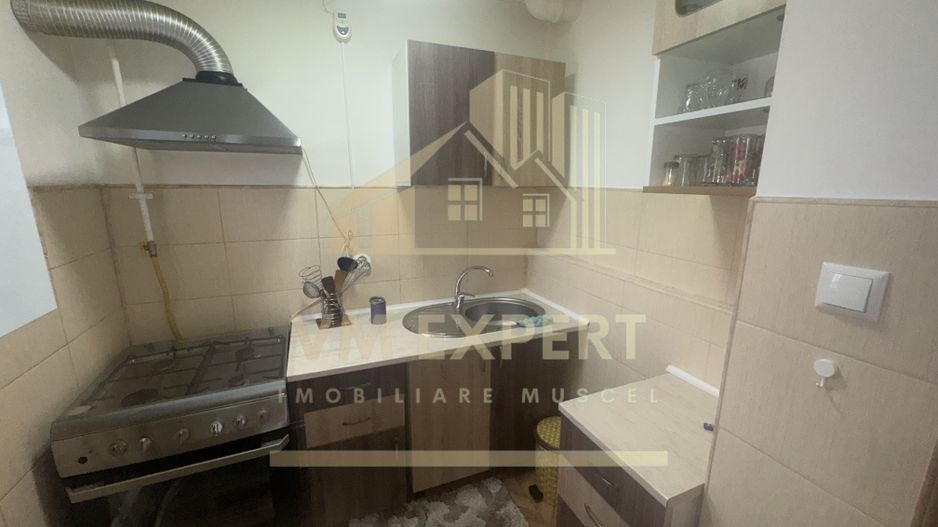 APARTAMENT 3 CAMERE ETAJ 4 VISOI - Poză 7