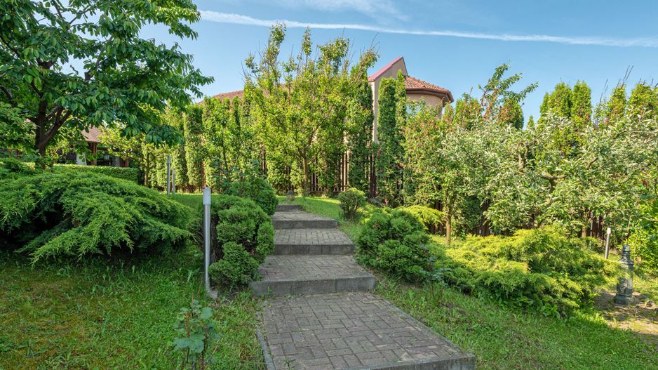 Spațiu birouri în vilă, Zorilor - Poză 11