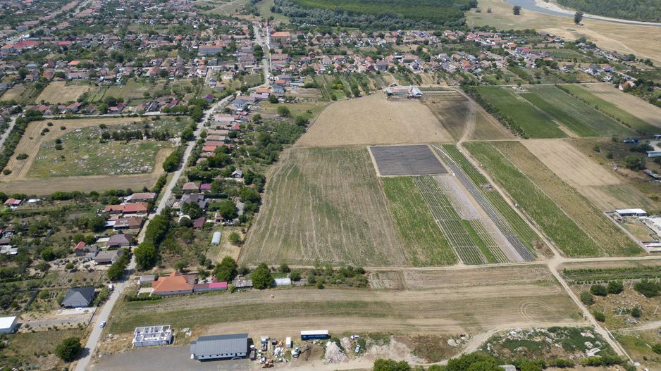 Teren 3000 mp in Loc Zadareni - Poză 3