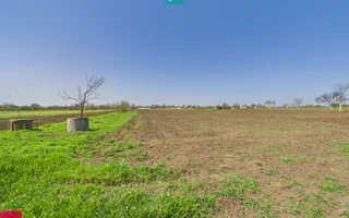 Casă cu grădină mare la 30 km de Timișoara - Poză 26