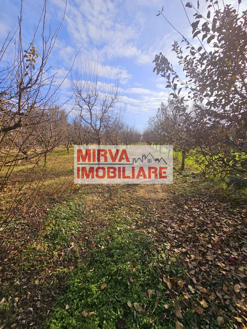 🏡 Casă spațioasă cu 4 camere + teren 4344 mp, Gorgota – EXCLUSIV! - Poză 13