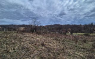 Vand 2 parcele de 5700 mp zona Iabalcea - Poză 9