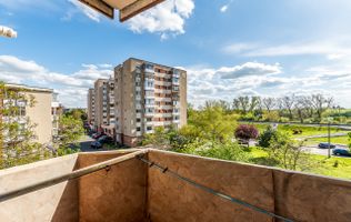 Apartament 3 camere Micalaca 300. Vedere superbă spre Mureș