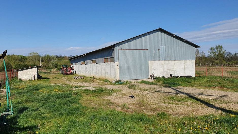 Hala de vanzare Costesti - Poză 4