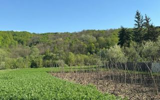 Casa Barsanesti - Poză 13