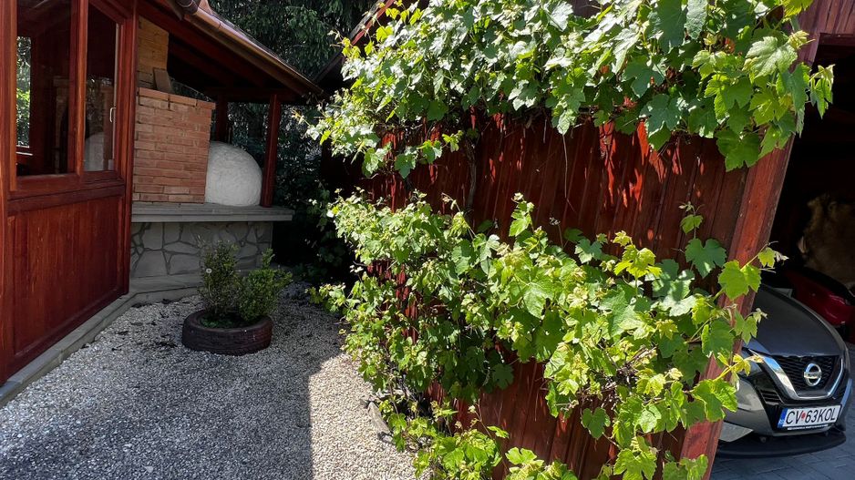 Ocazie unică! Casă de vânzare în stațiunea Covasna! - Poză 22