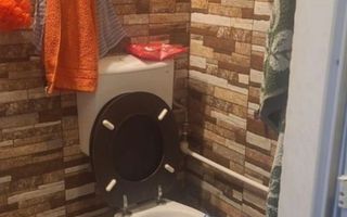 Garsoniera Crinul de Padure, Parc Drumul Taberei - Poză 8