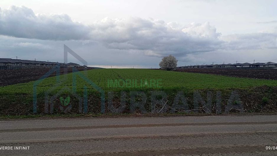 Teren Intravilan Vorovesti, 1 ha, deschidere la DJ 248A - Poză 5