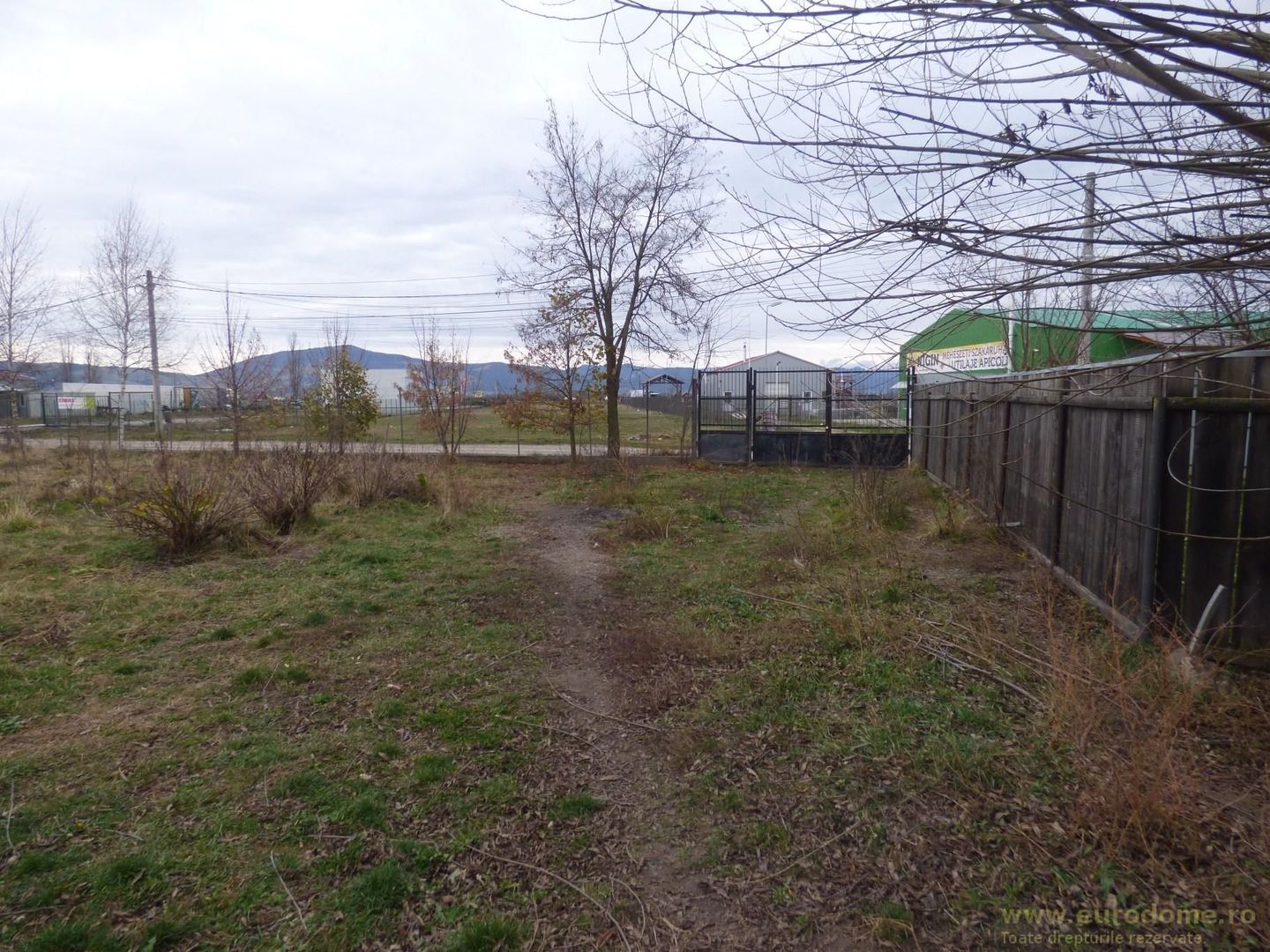 Proprietate deosebita - casa cu curte si livada - Poză 6